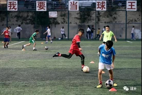  中国足球青训成果初现端倪